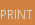 Print this page